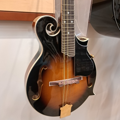 Store Special Product - Denver F style mandolin